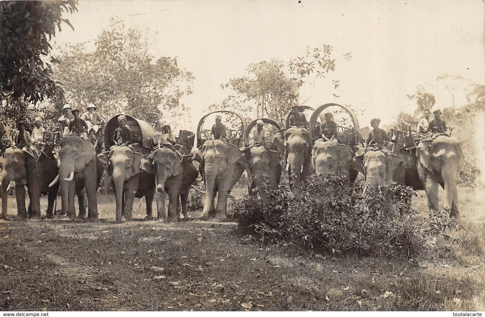 CARTE PHOTO SRY LANKA ELEPHANT CHASSE - Sri Lanka (Ceylon)