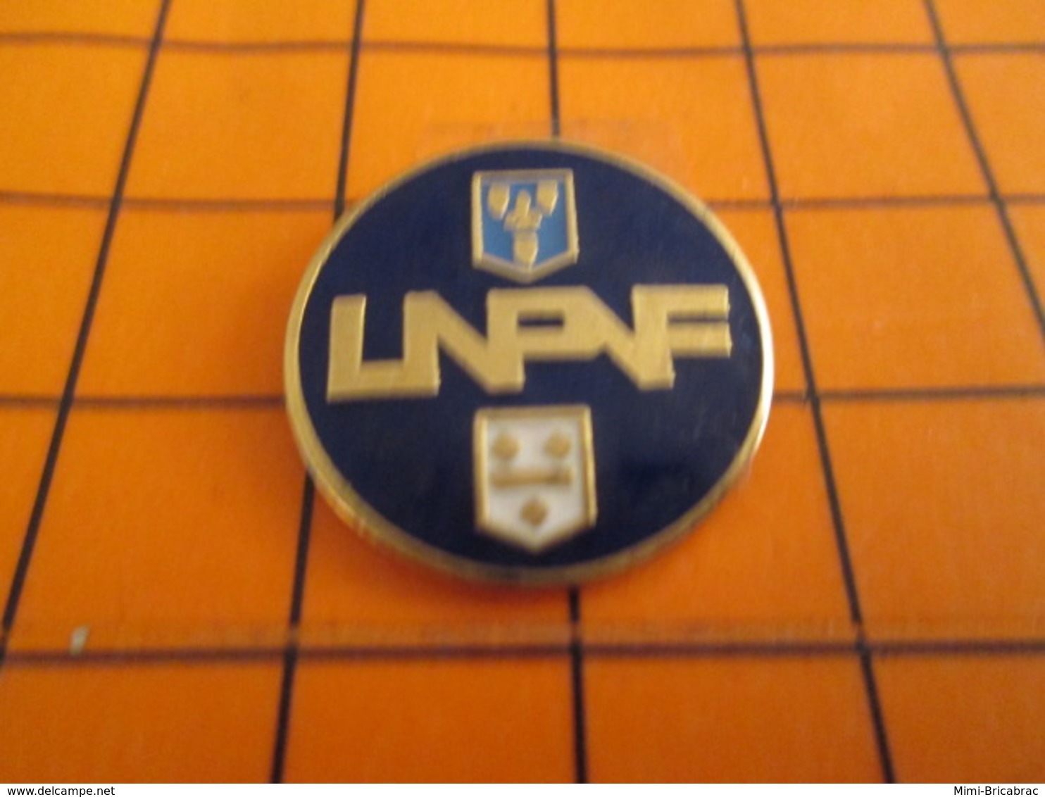 320 Pin's Pins / Belle Qualité Et Rare / THEME AUTRES : LNPF LNPNF LNPVF On Sait Pas !!! - Automobile - F1