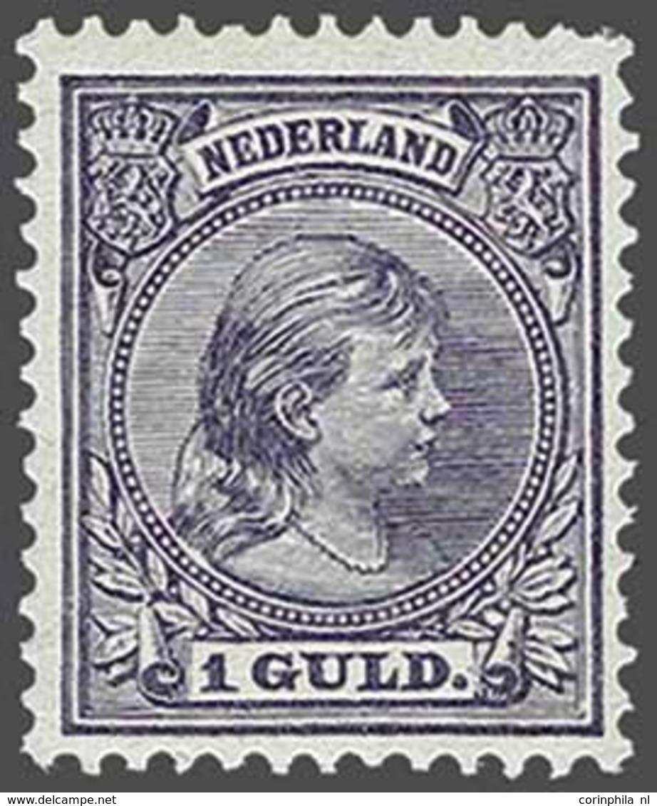 NL 1891 Princess Wilhelmina - Other & Unclassified