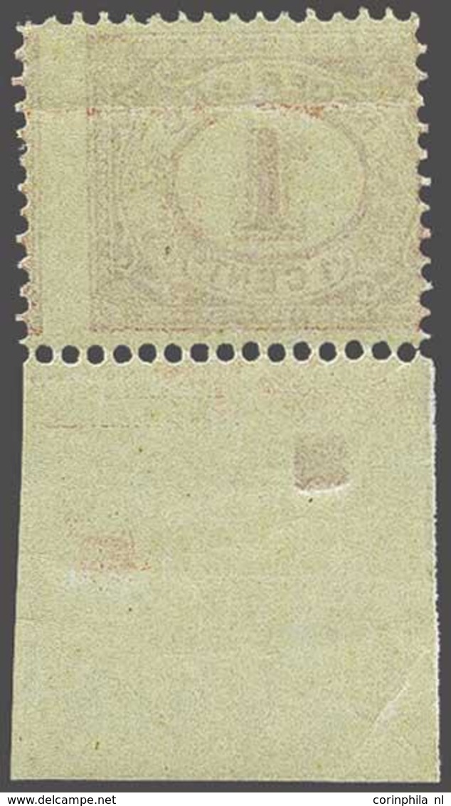 NL 1899 Numerals And Queen Wilhelmina - Autres & Non Classés