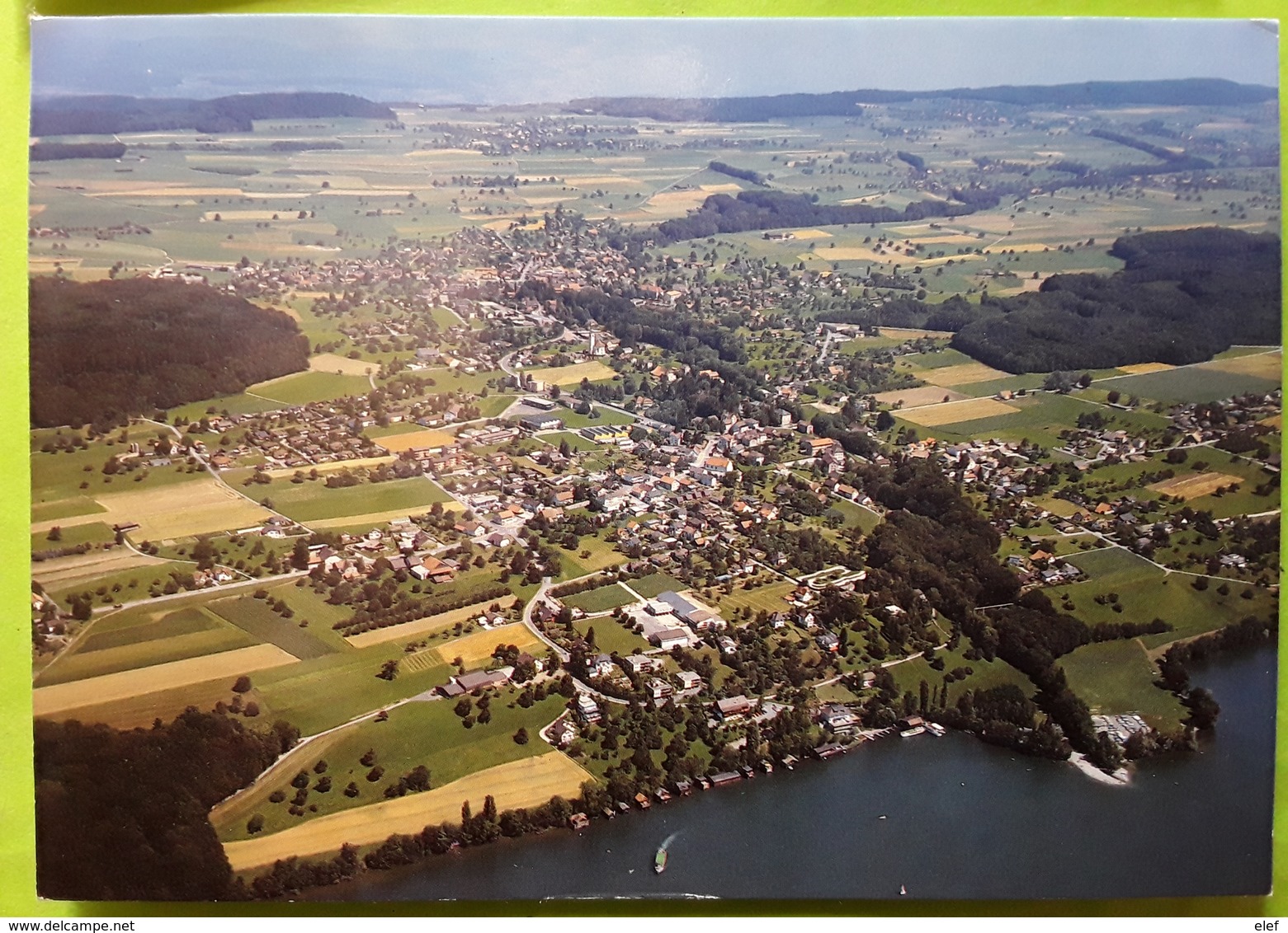 MEISTERSCHWANDEN Am HALLWILERSEE, Schweiz Suisse Gesamtansicht, Verkehrsverein 1982, Timbre Chouette , TB - Meisterschwanden