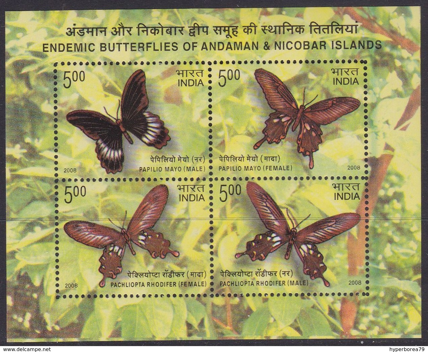 India 2260/63 - Endemic Butterflies 2008 M/S - MNH - Farfalle
