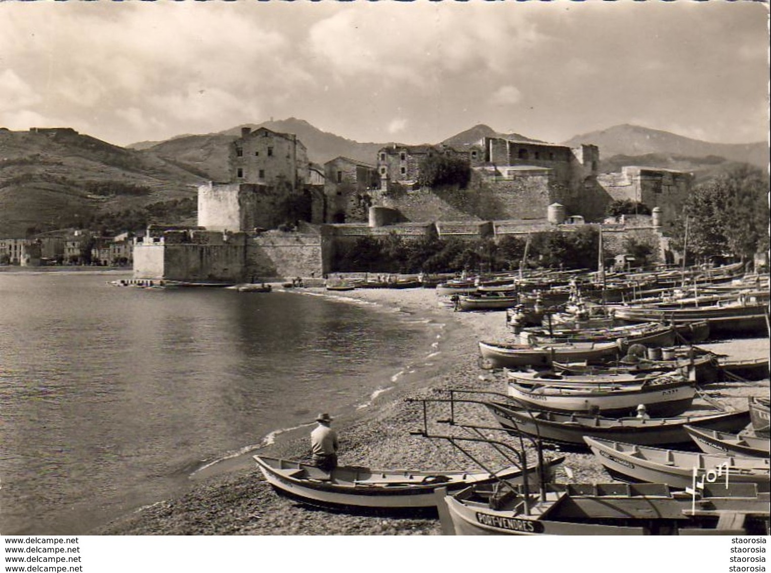 D66  COLLIOURE  Le Port  ( Ref CC1001 ) - Collioure