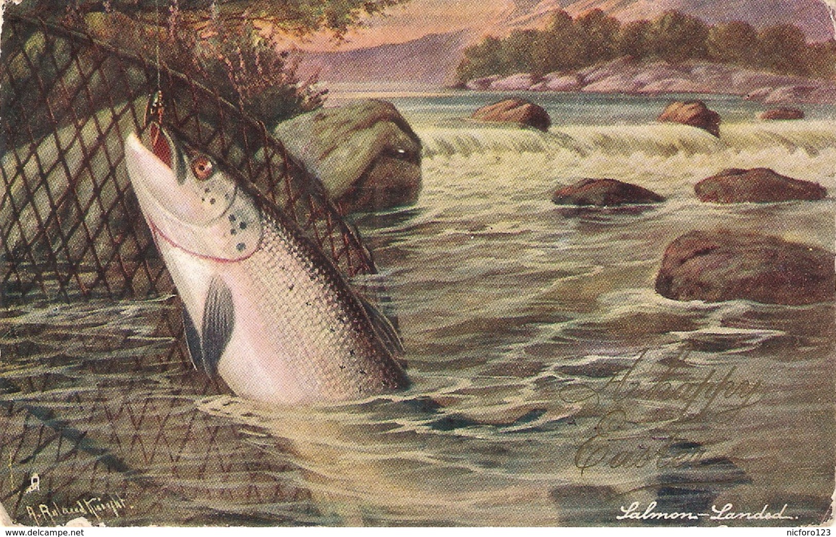 A. Roland Knight. British Fish. SALMON. LANDED" Tuck Oilette PC # 1544 - Tuck, Raphael