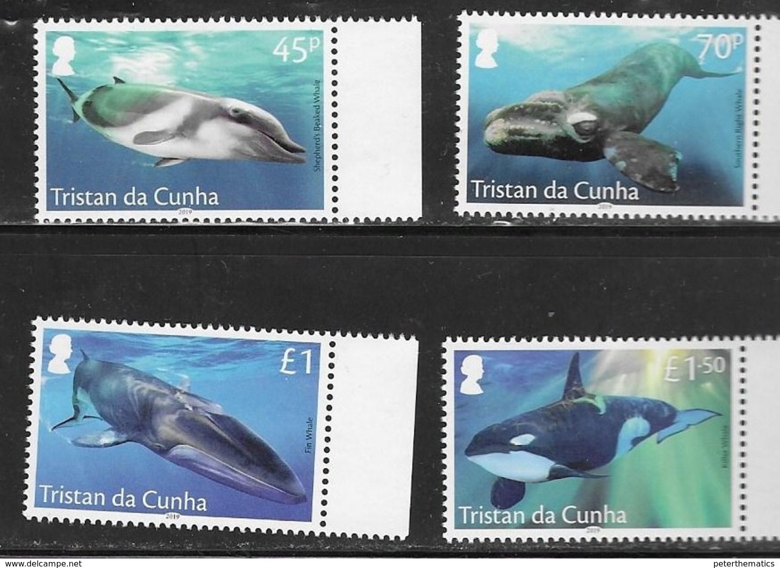 TRISTAN DA CUNHA, 2019, MNH, MARINE LIFE, WHALES, KILLER WHALES, FIN WHALES,  4v - Baleines