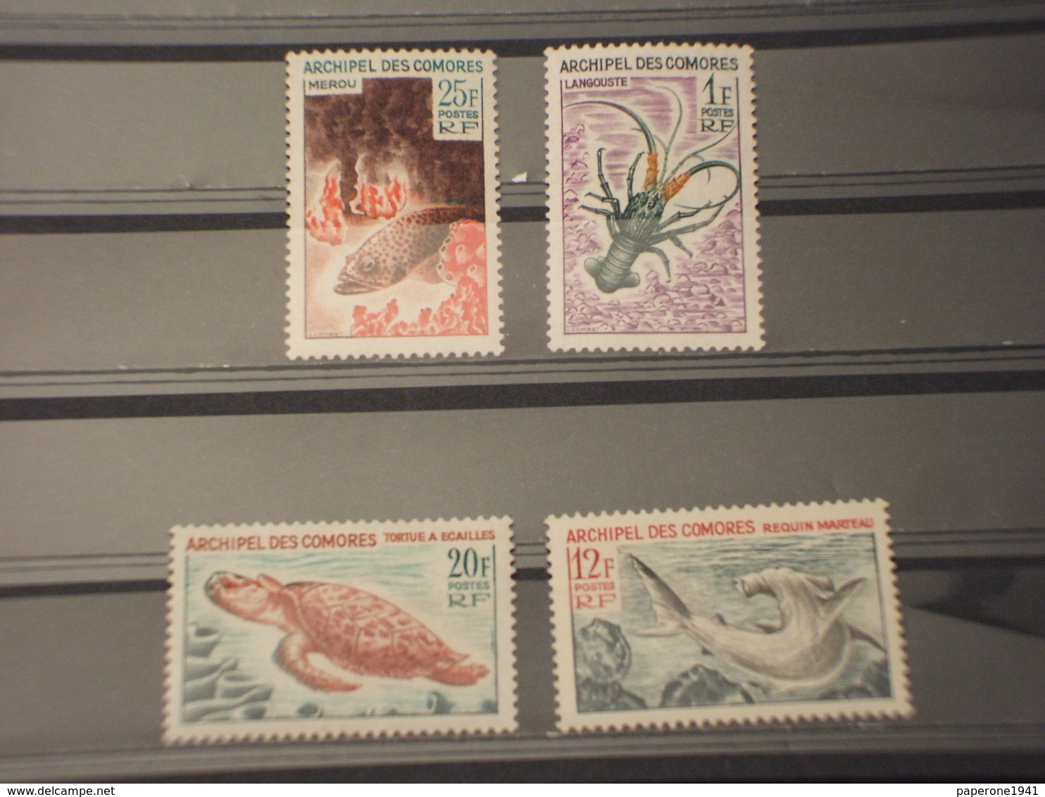 COMORES - 1966 FAUNA MARINA 4 VALORI - NUOVI(++) - Isole Comore (1975-...)