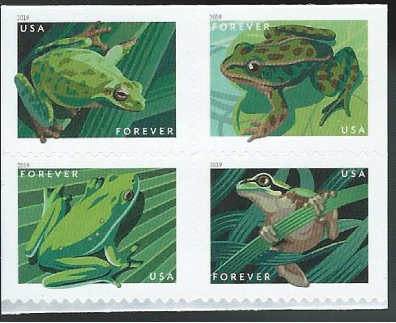 USA. Scott # 5395-98a, MNH From Booklet Of 20. Frogs 2019 - 1981-...