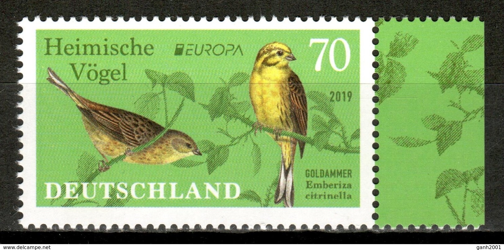 Germany 2019 Alemania / Birds Europa CEPT MNH Vögel Aves Oiseaux / Cu15932  36-26 - Autres & Non Classés