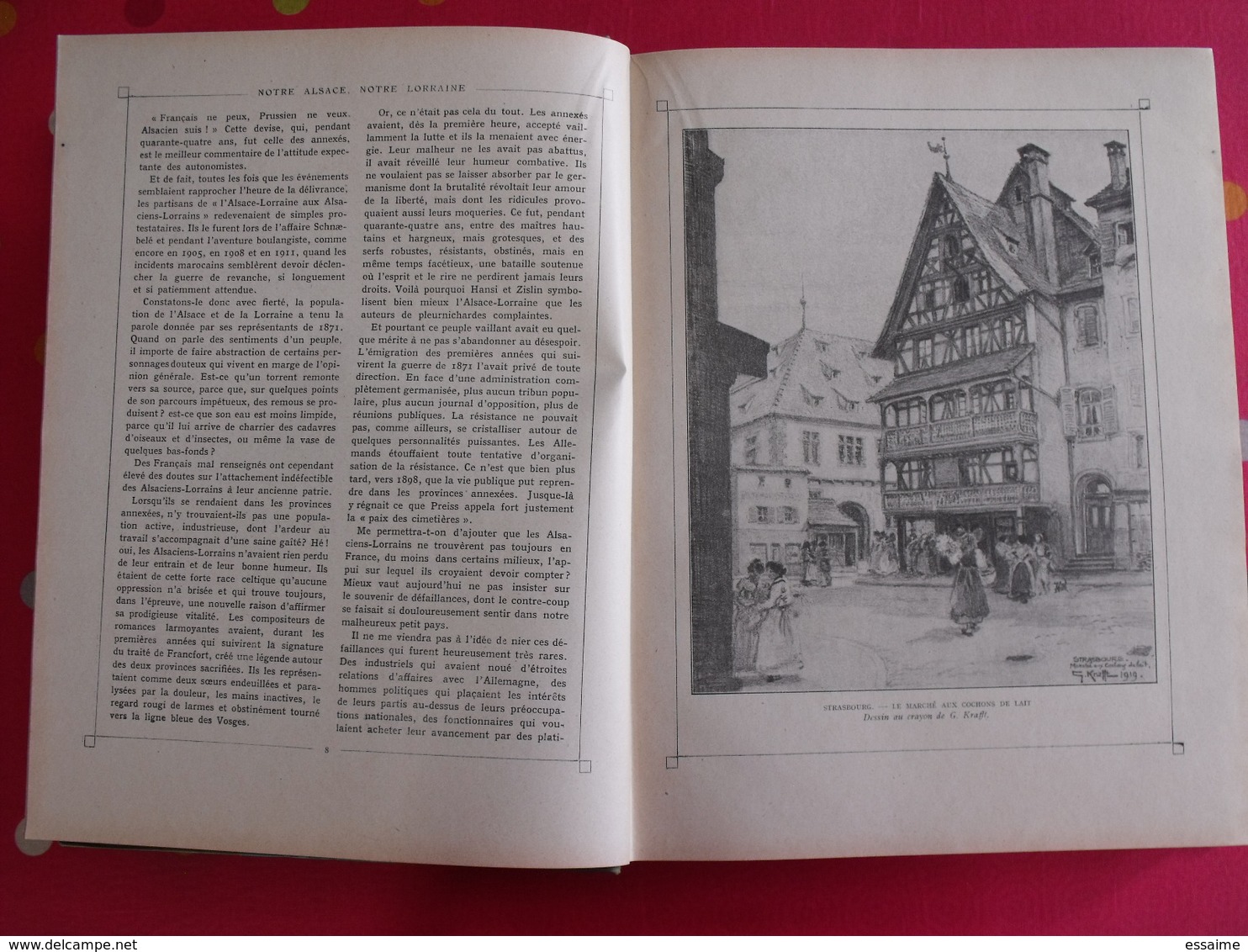 Notre Alsace, Notre Lorraine. Wetterlé, Fisher. Tome 1. édition Française Illustrée. 1919 - Alsace
