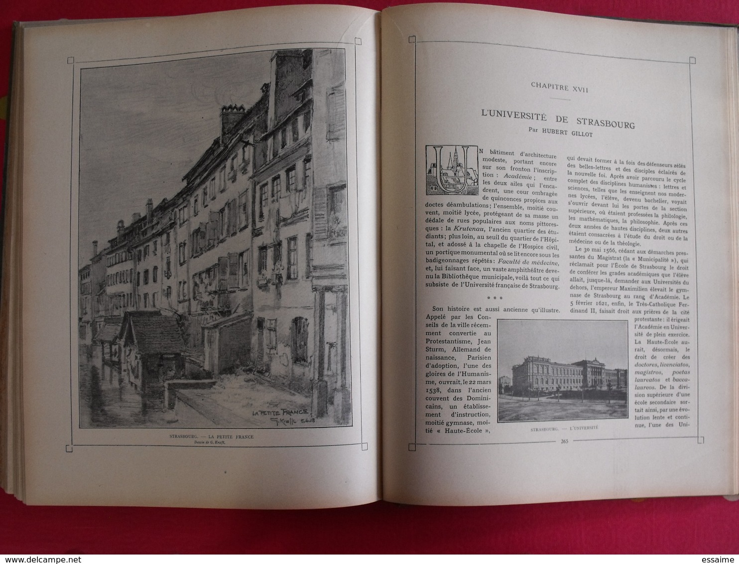 notre Alsace, notre Lorraine. Wetterlé, Fisher. tome 1. édition française illustrée. 1919