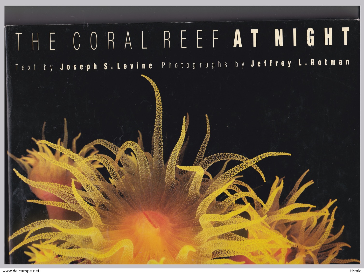 The Coral Reef At Night Par Joseph S..Levine - Andere & Zonder Classificatie