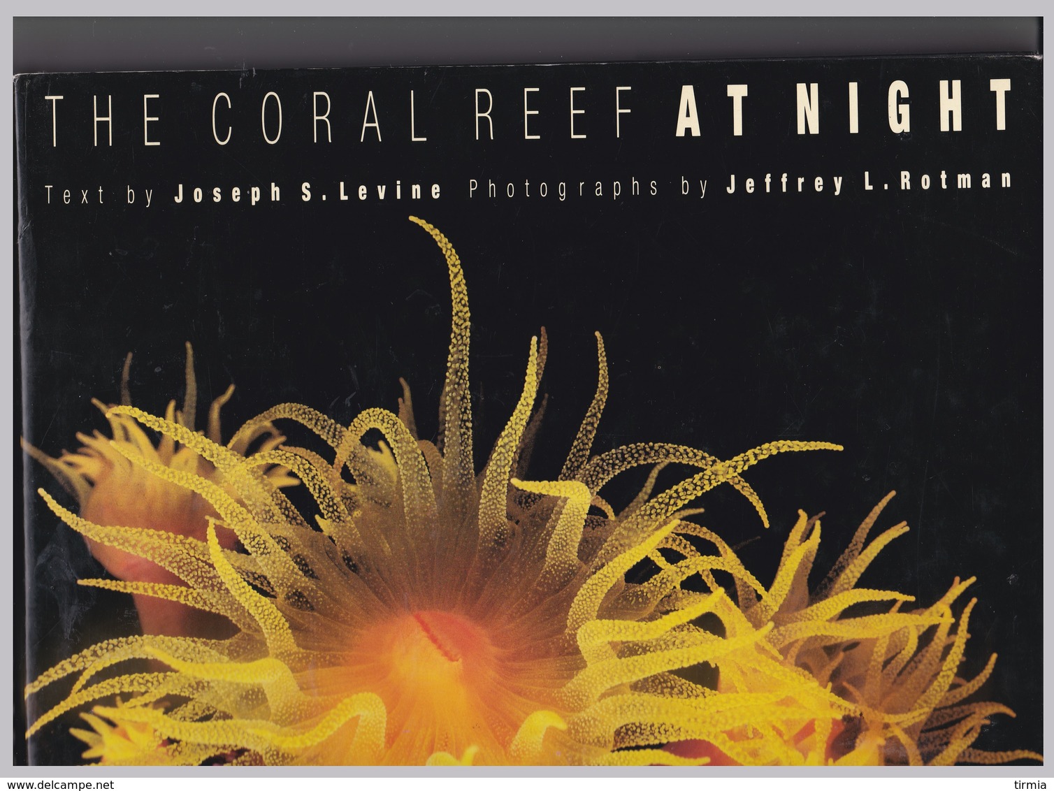 The Coral Reef At Night Par Joseph S..Levine - Autres & Non Classés