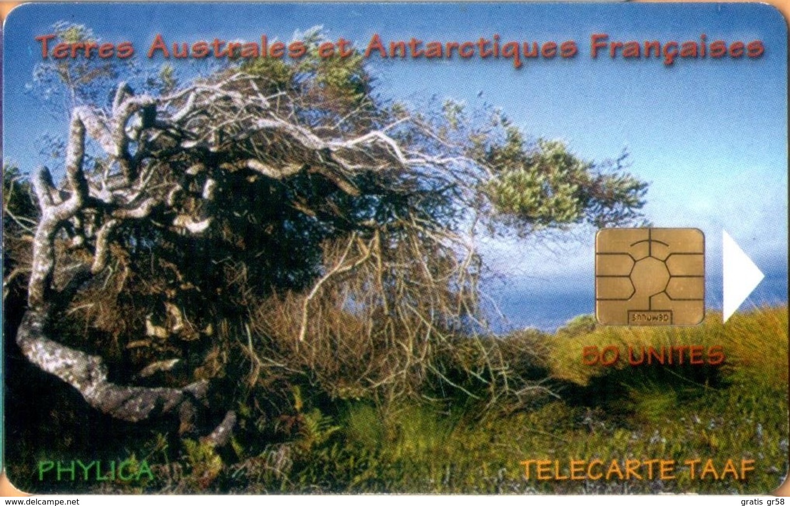 TAAF - TF-STA-0029, Le Phylica, Plants, Tree, 1,500ex, 50 Units, 5/03, Mint? - TAAF - Territori Francesi Meridionali