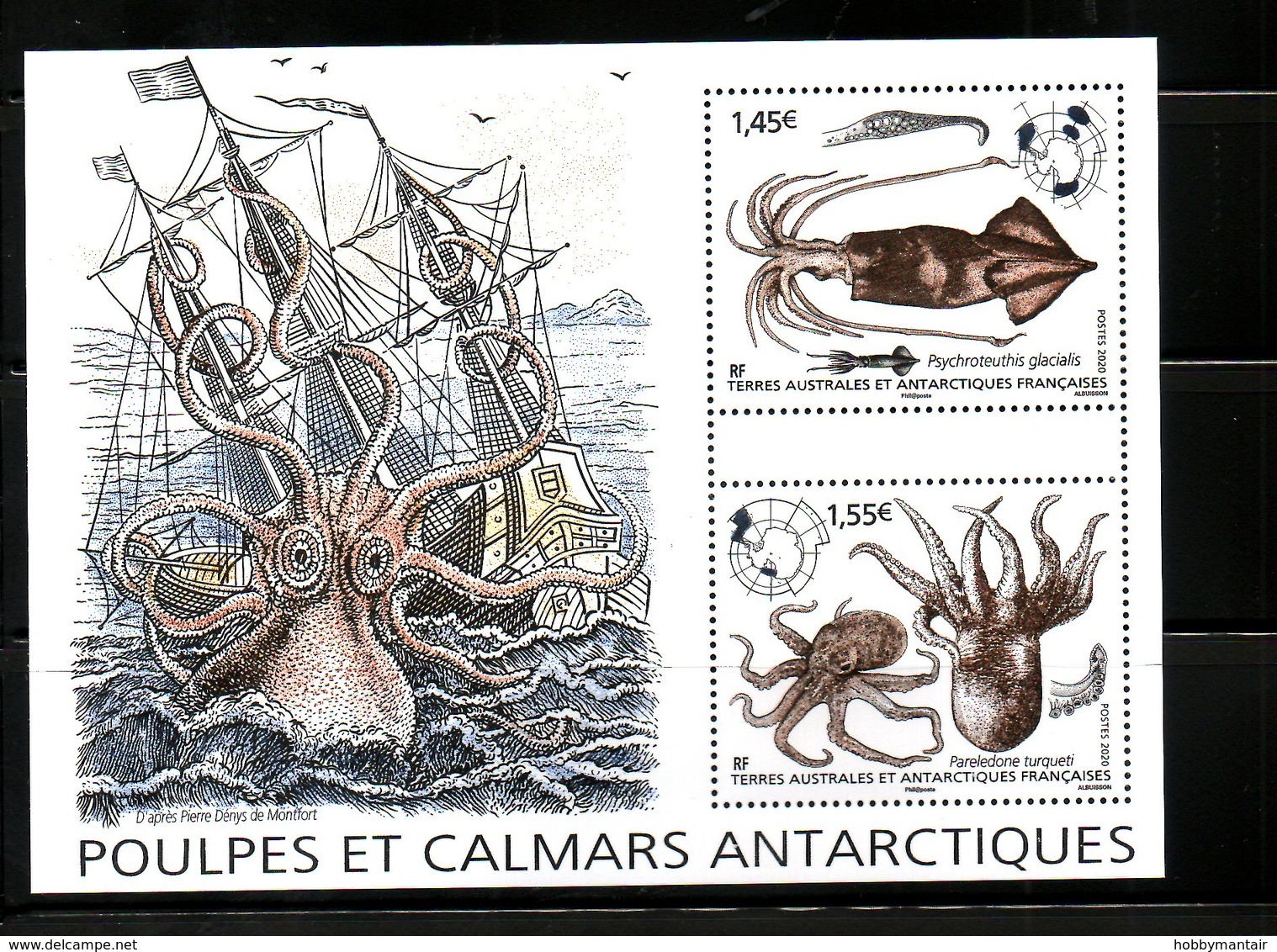 TAAF, 2020, SQUID, OCTOPUS, M/S. MNH** NEW! - Marine Life
