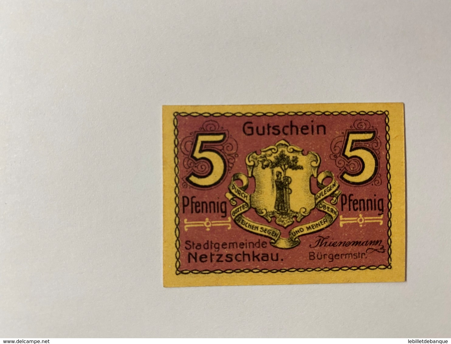 Allemagne Notgeld Netzschkau 5 Pfennig - Colecciones