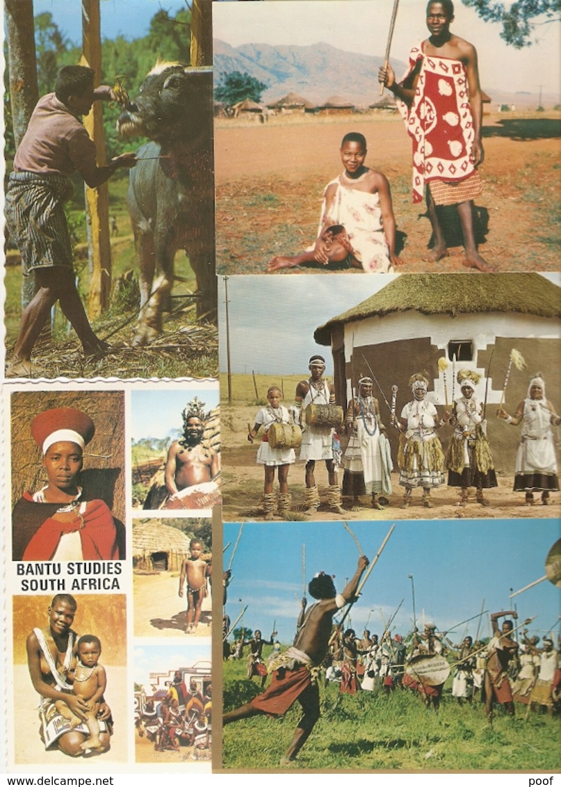 South-Africa / Zuid-Africa : ---- 20 Cards - Afrique Du Sud