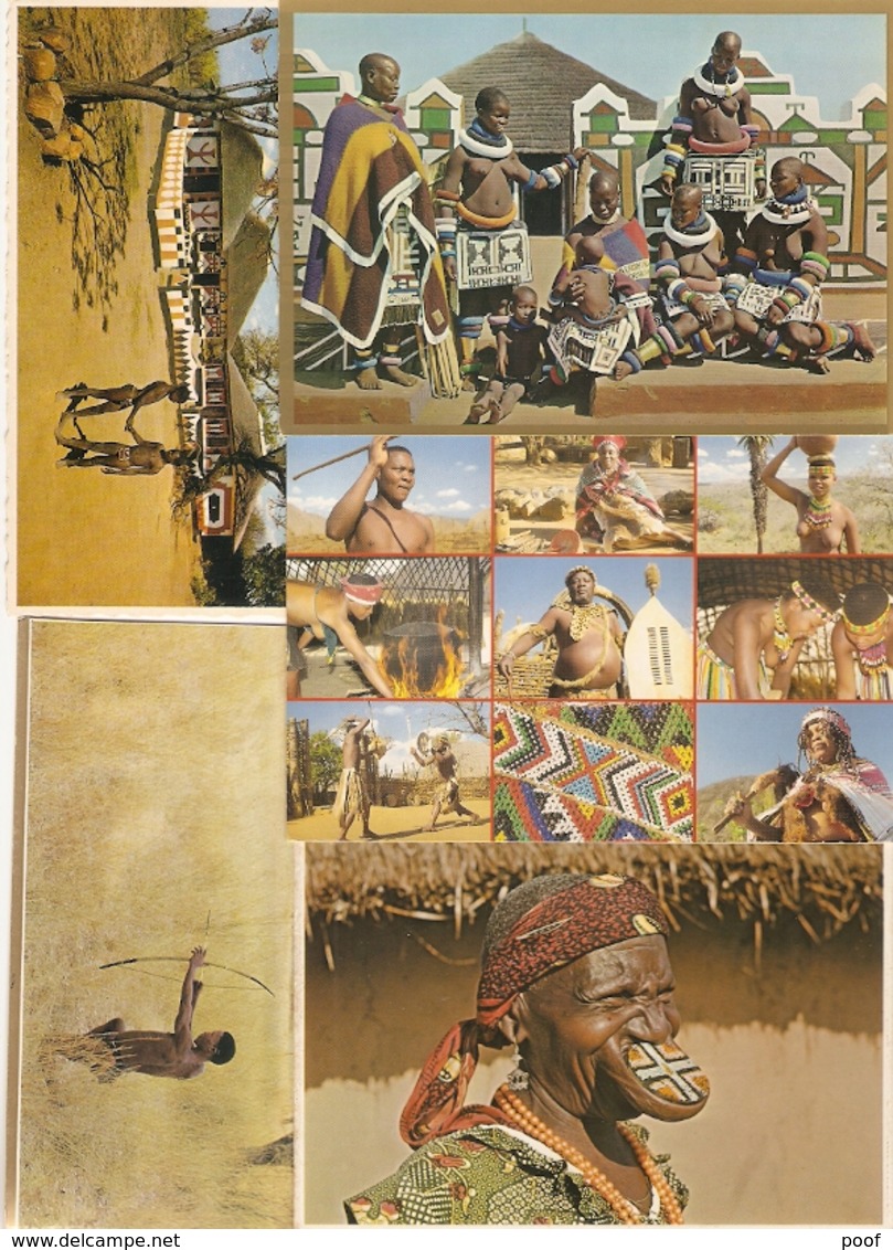 South-Africa / Zuid-Africa : ---- 20 Cards - Afrique Du Sud