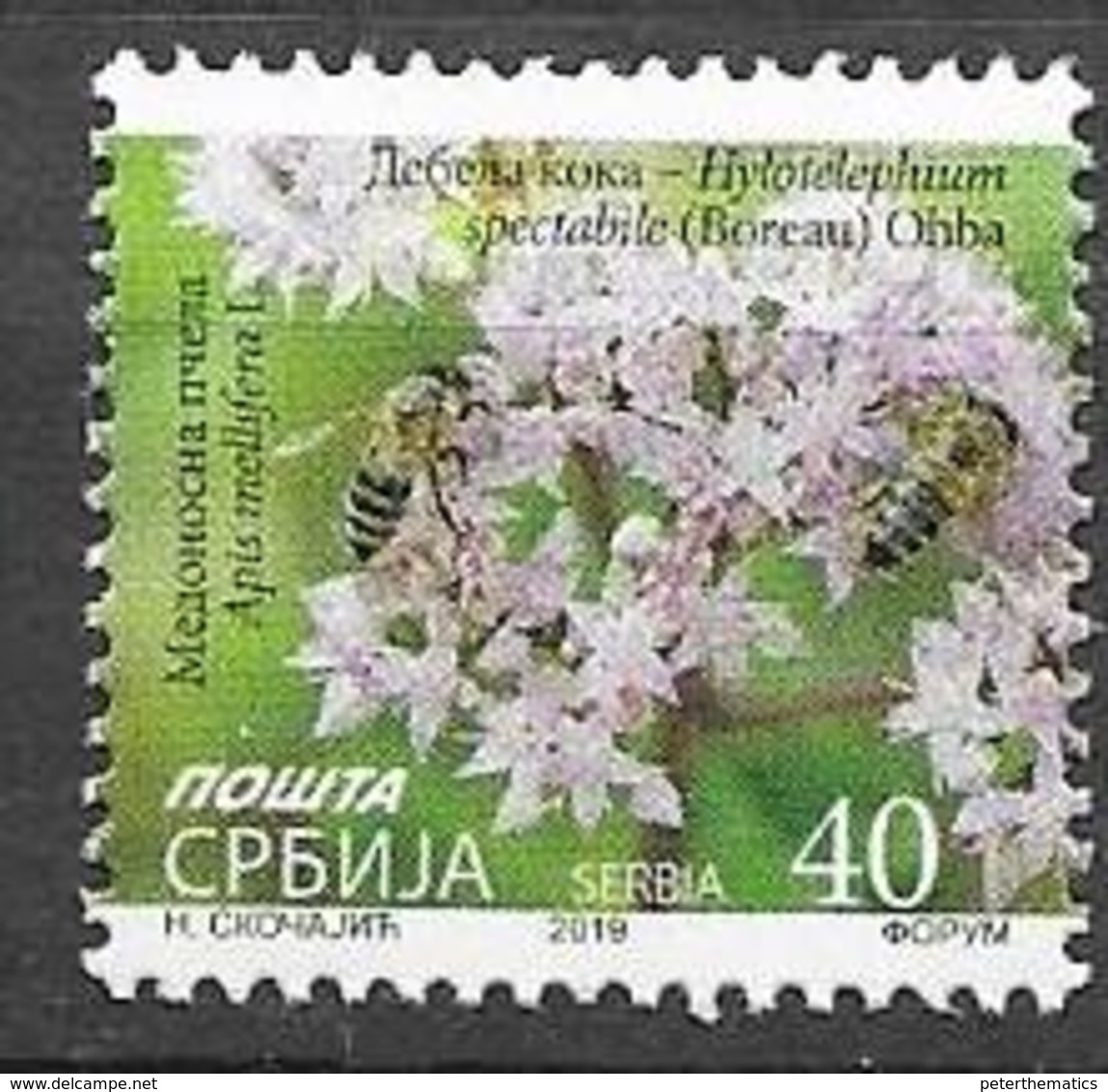SERBIA, 2019, MNH, DEFINITIVE, FLOWERS, BEES, 1v - Api