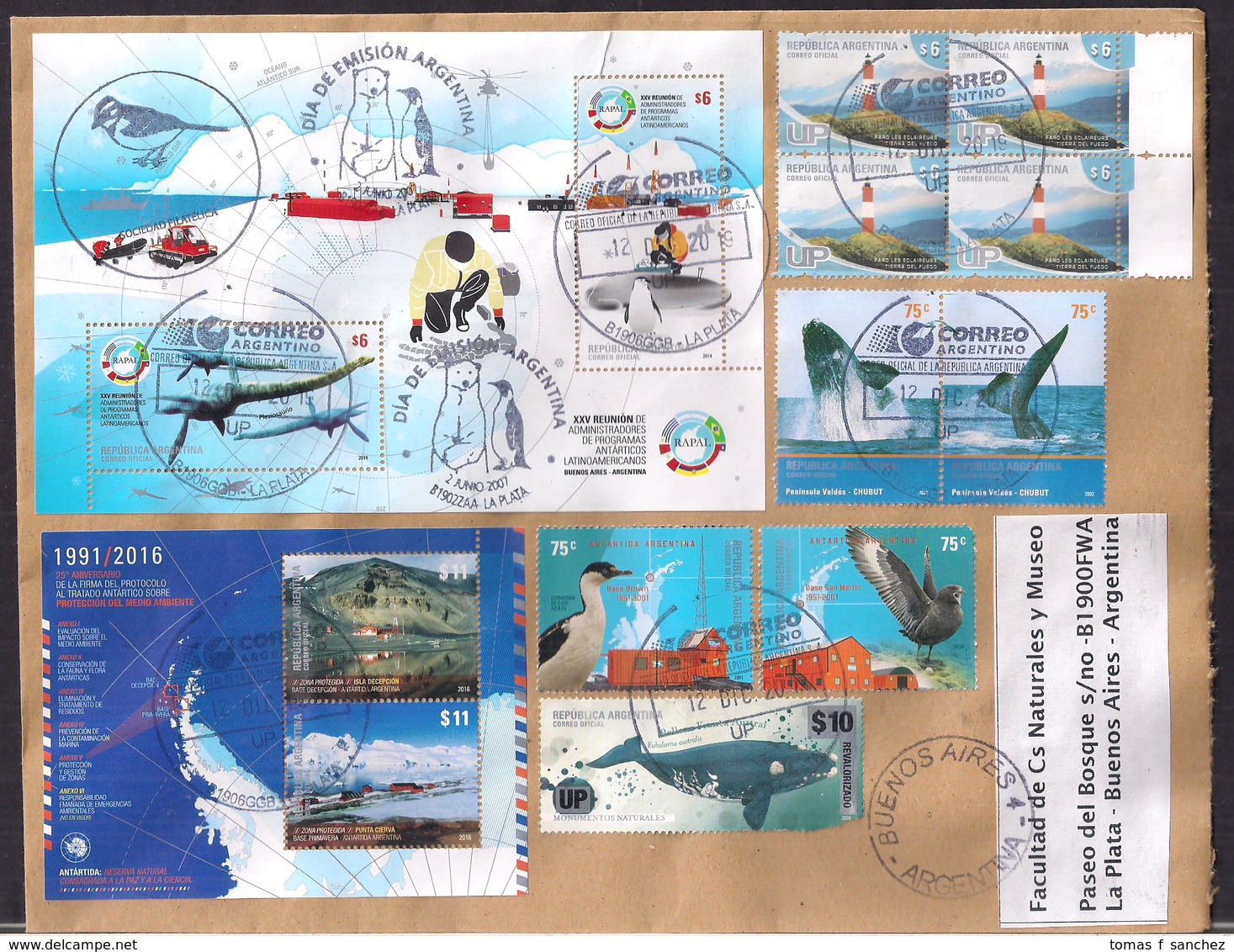 Argentina - 2020 - Lettre - Antarctique - Plésiosaure - Dinosaures En Antarctique - Baleines - Briefe U. Dokumente