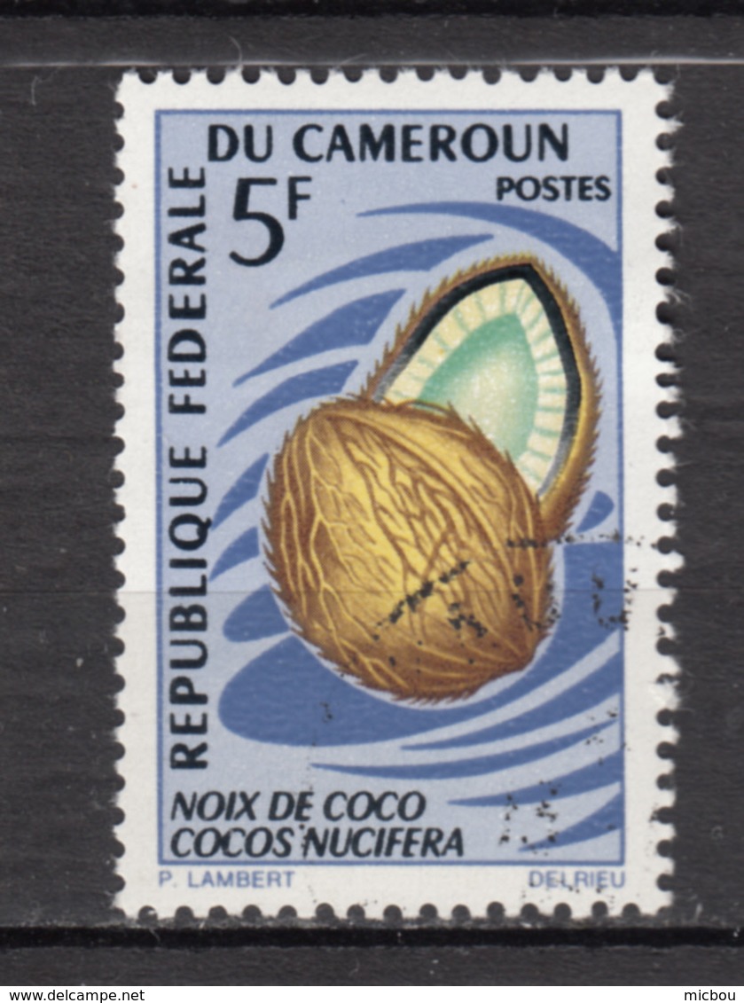 Cameroun, Cameroo, Fruit, Noix De Coco, Coconut - Fruits