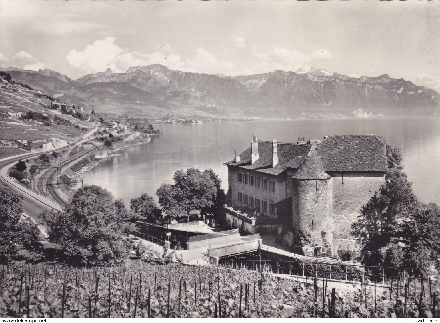 SUISSE,SCHWEIZ,SVIZZERA, HELVETIA,SWISS,VAUD,SAINT SAPHORIN,LAVAUX,CHATEAU,GLEROLLES,CARTE PHOTO - Saint-Saphorin