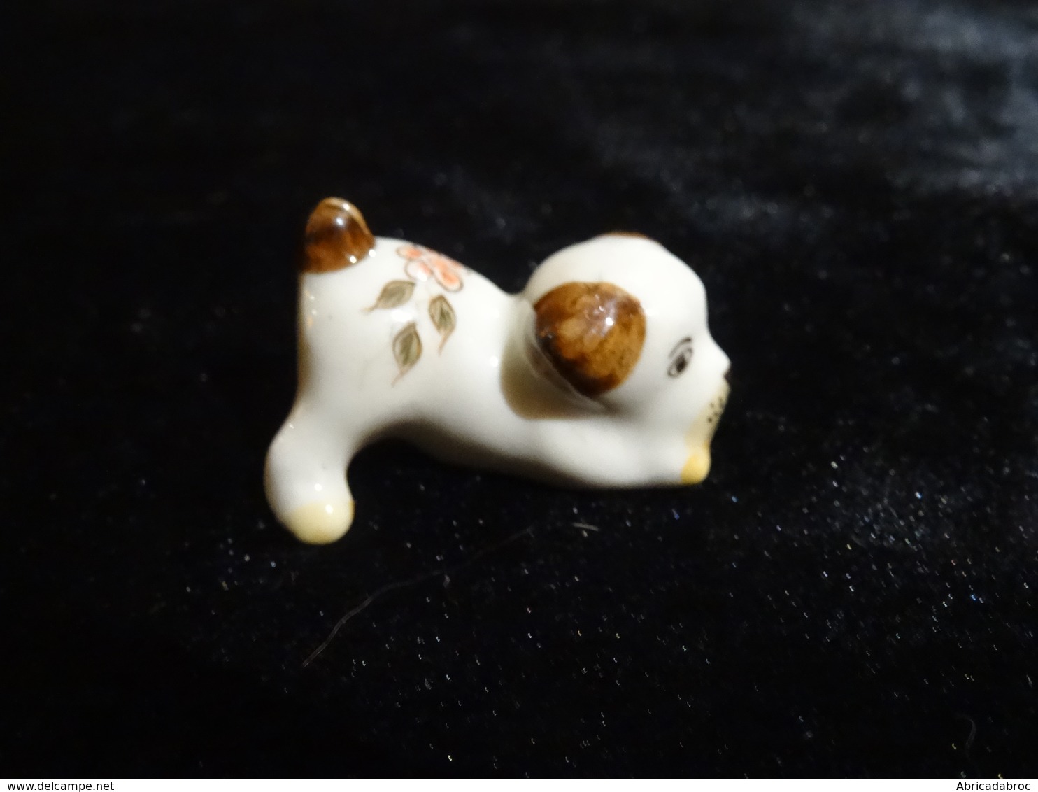 Chien Porcelaine - Tiere