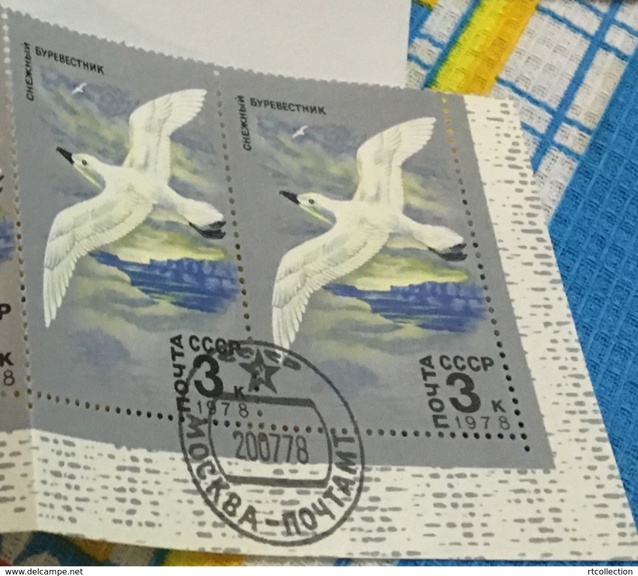 USSR Russia 1978 Pair Arctic Fauna Animals Bird Birds Petrel North Pole Wildlife Nature Stamps CTO Michel 4743 - Faune Arctique