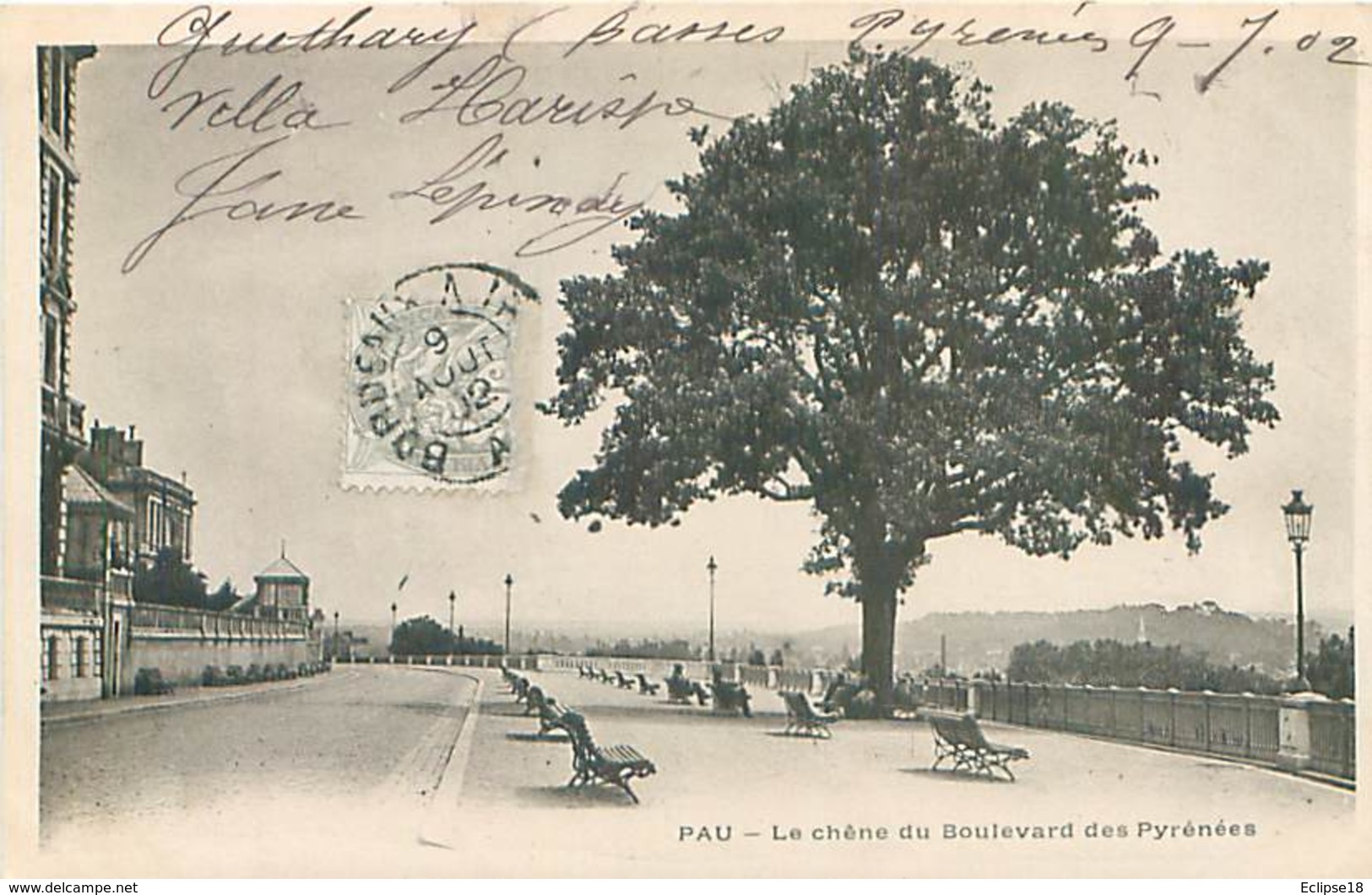 Pau - Le Chene Du Boulevard Des Pyrénées    Q 1222 - Pau