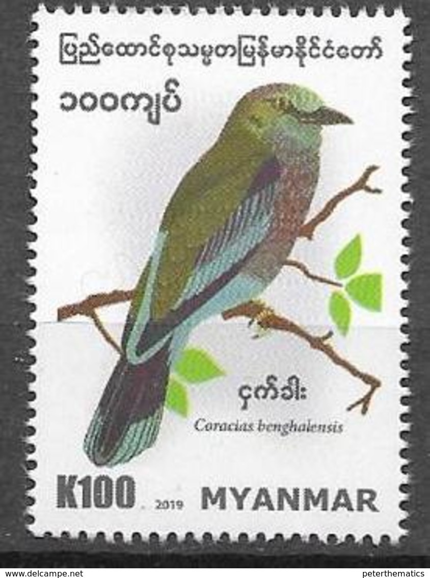 MYANMAR, 2019,  MNH,BIRDS, 1v - Autres & Non Classés