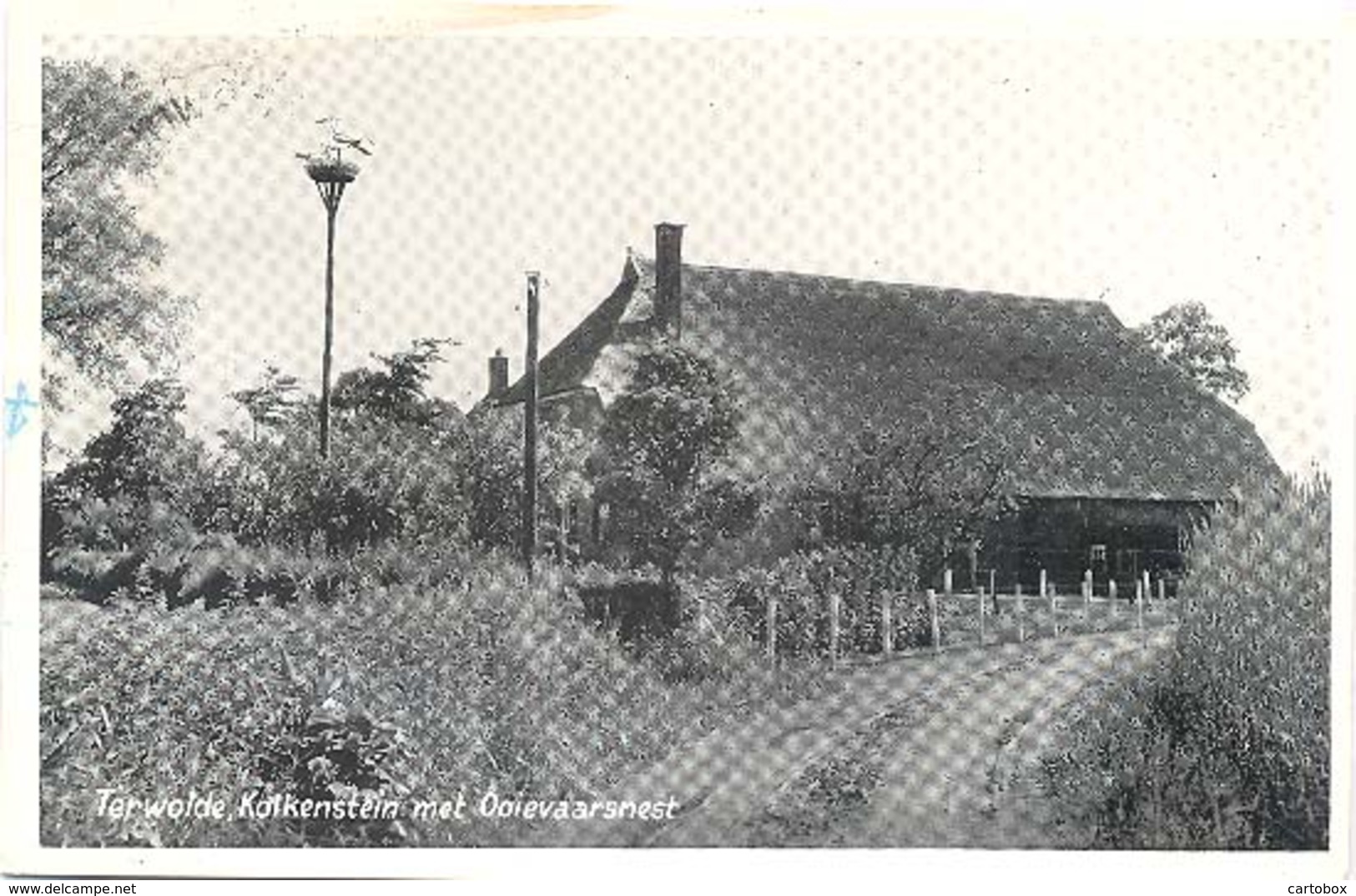 Terwolde, Kolkenstein Met Ooievaarsnest (het Zichtbare Raster Op De Kaart Is Veroorzaakt Door Het Scannen) - Other & Unclassified