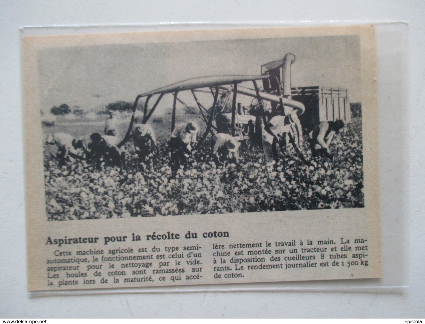 TEXAS Usa Cotton Harvest - Aspirateur De Récolte De Coton  - Coupure De Presse De 1950 - Autres Appareils