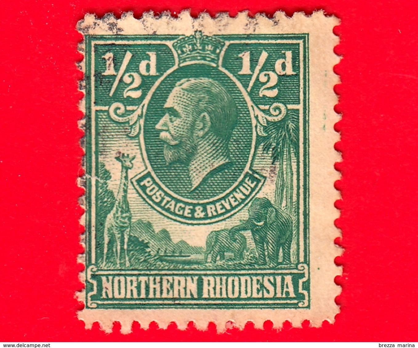 RHODESIA - Nord Rhodesia - Usato - 1925 - Re Giorgio V E Animali - ½ - Rhodesia Del Nord (...-1963)