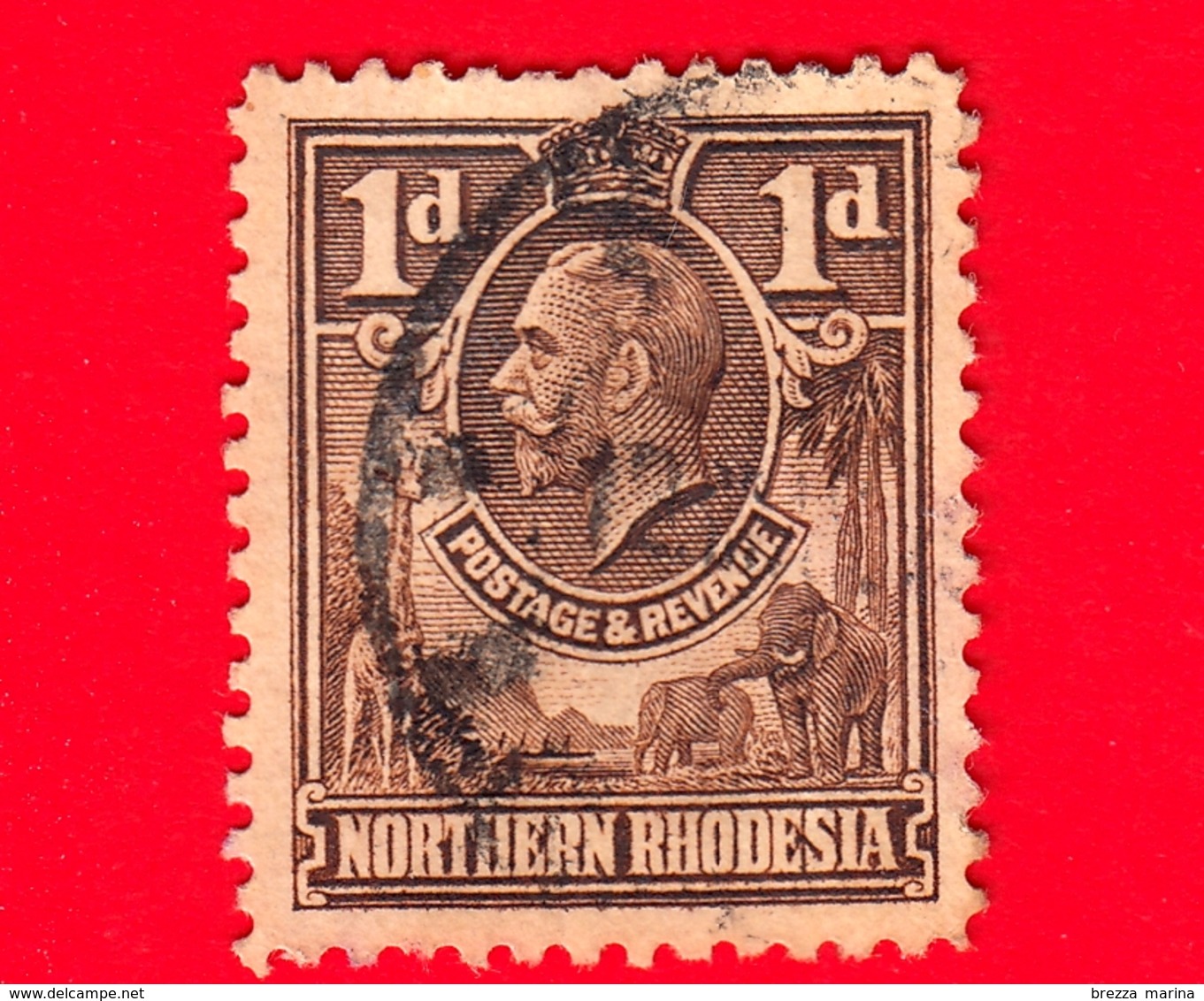 RHODESIA - Nord Rhodesia - Usato - 1925 - Re Giorgio V E Animali - 1 - Rhodesia Del Nord (...-1963)