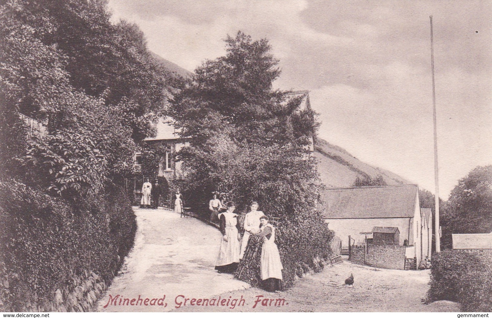MINEHEAD - GREENLEIGH FARM - Minehead