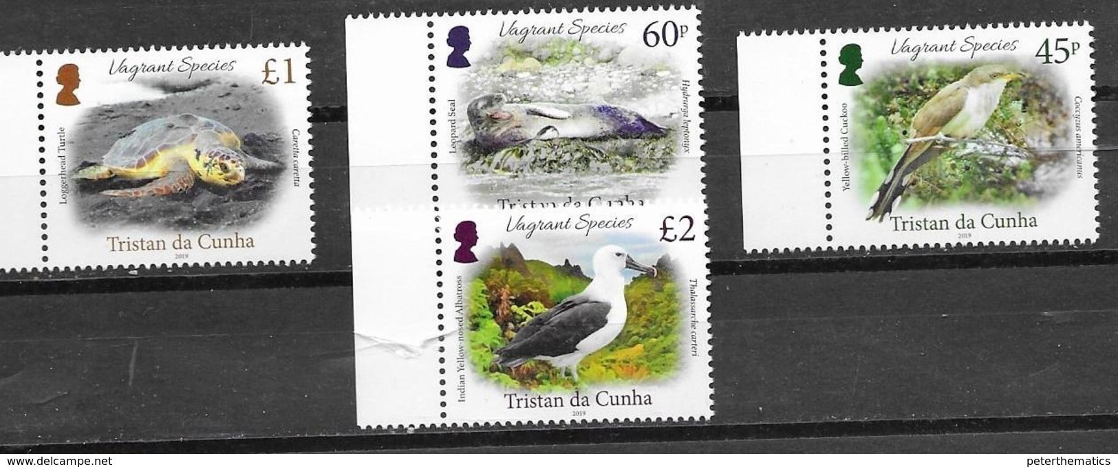 TRISTAN DA CUNHA, 2019, MNH, VAGRANT SPECIES, BIRDS,ALBATROSS, CUCKOOS, SEALS, TURTLES,  4v - Other & Unclassified