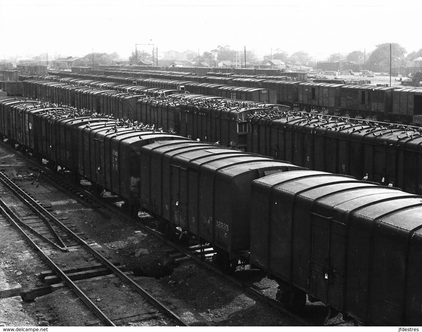 Photo Inde Calcutta Les Trains De Céréales Pour Approvisionner Insuffisamment Photo Vivant Univers - Lieux