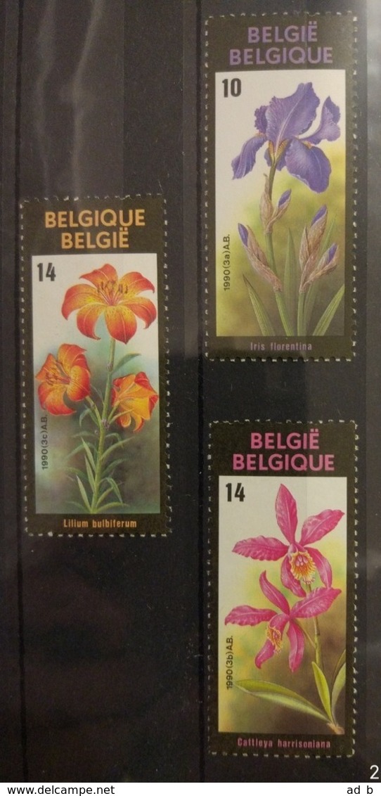 Belgium 1990. Cattleya, Iris, Lilium. Stamp Set. MNH - Orchidee