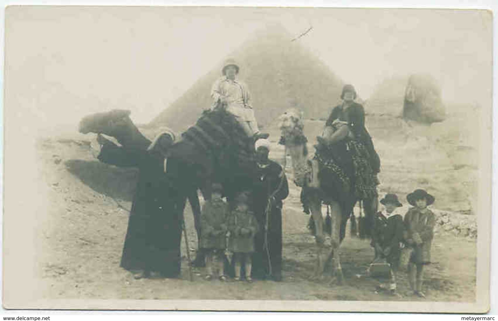 CARTE POSTALE PHOTO PYRAMIDES DE GUIZEH DROMADAIRES - Gizeh