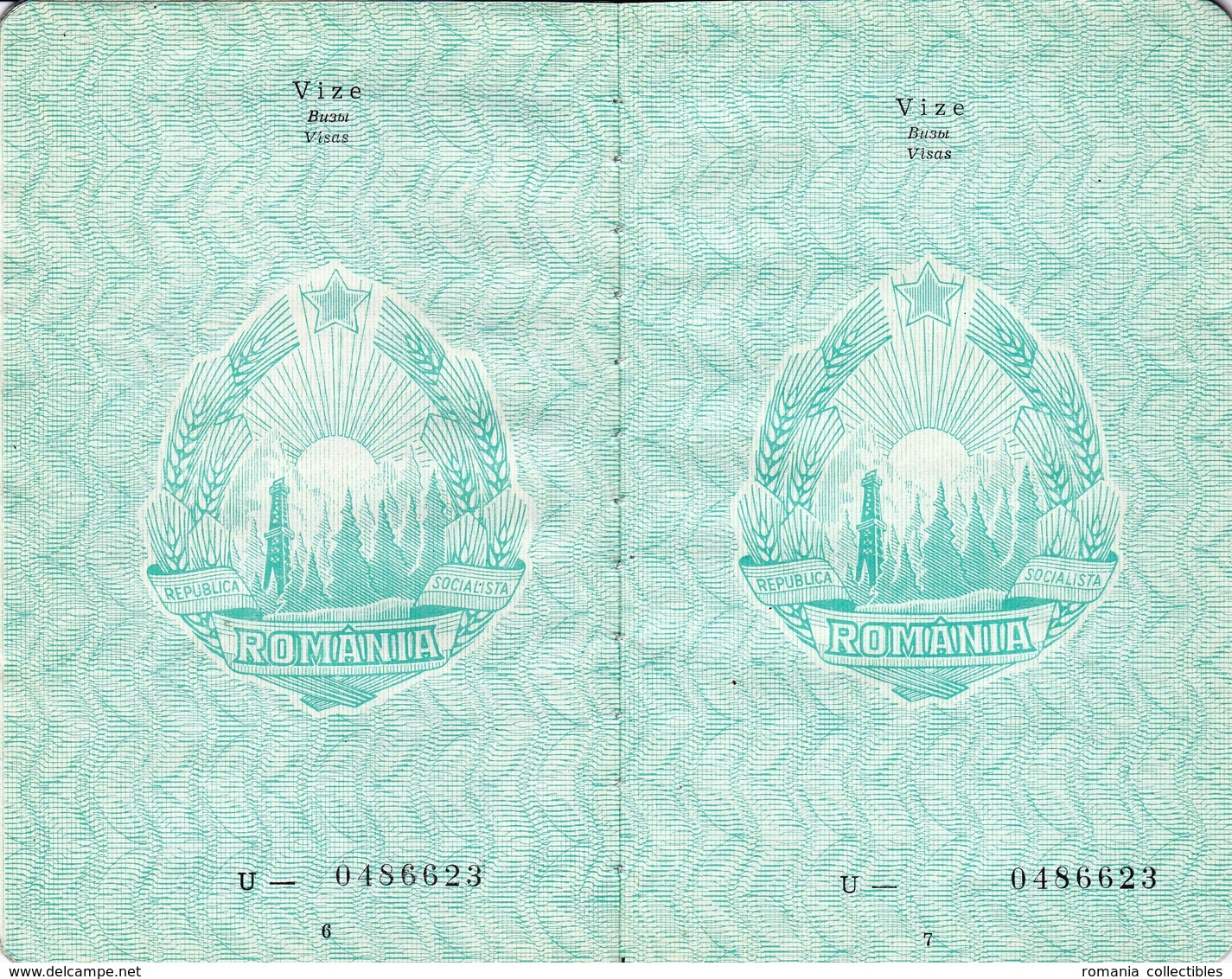 Romania, 1991, Vintage Expired Passport (RSR Type) - No Visas & Stamps - Documentos Históricos