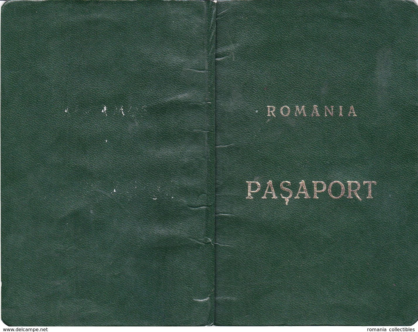 Romania, 1991, Vintage Expired Passport (RSR type) - no visas & stamps