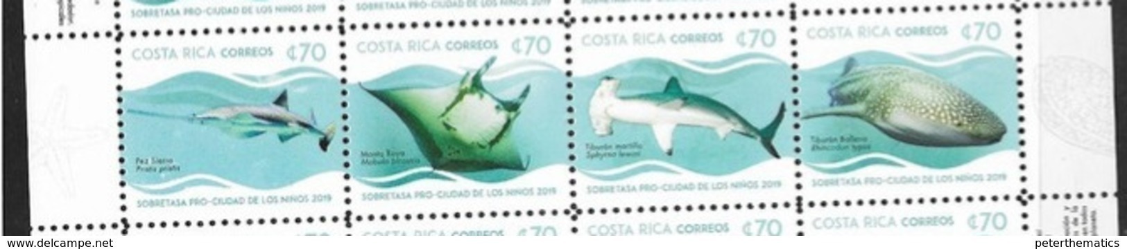 COSTA RICA, 2019, MNH, CHILDREN'S WELFARE ,MARINE LIFE, SHARKS, HAMMERHEAD SHARKS, WHALE SHARKS,  STINGRAYS, SAWFISH,4v - Fishes