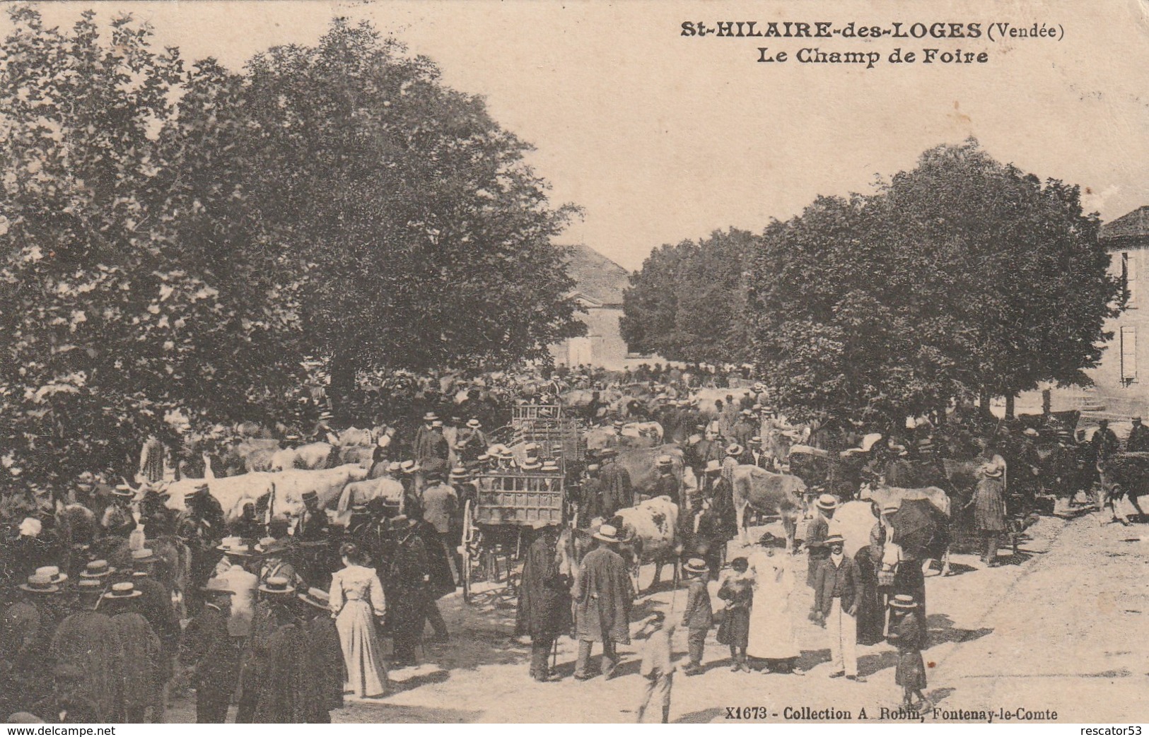 Rare Cpa Saint-Hilaire Des Loges Le Champ De Foire Très Animée - Saint Hilaire Des Loges