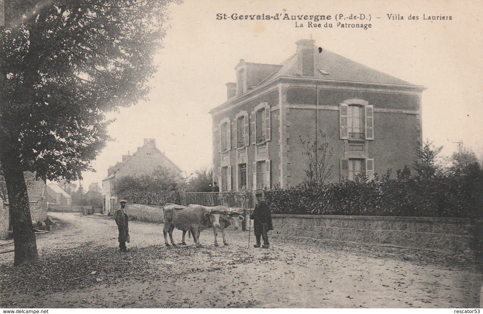 Rare Cpa Saint-Gervais D'Auvergne Villa Des Lauriers La Rue Du Patronage Attelage De Boeufs - Saint Gervais D'Auvergne