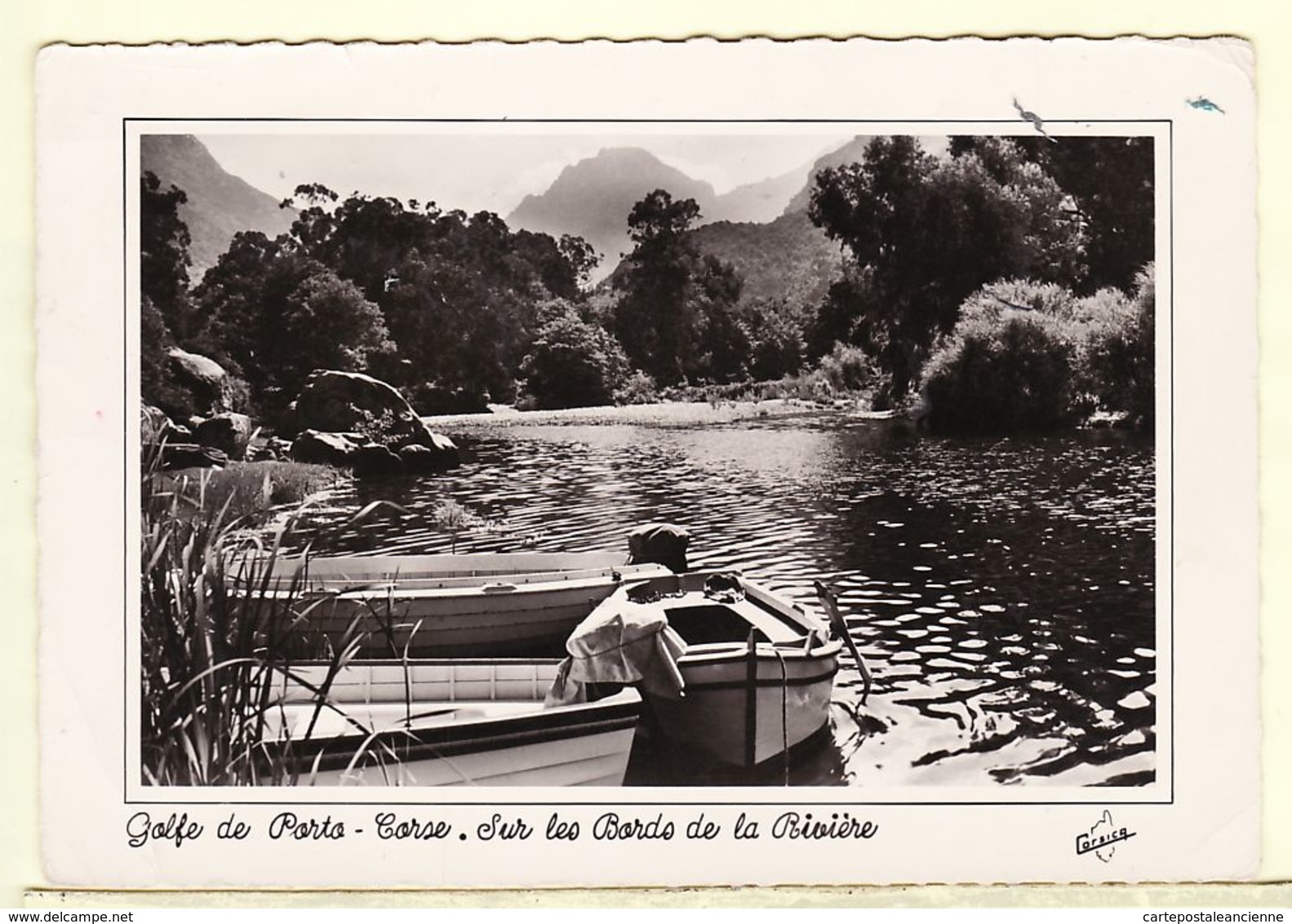 X20039 Golfe De PORTO CORSE  Barque Rivière Forêt EUCALYPTUS Postée 1955s- CORSICA MIRAMONT 3638 Corse - Autres & Non Classés