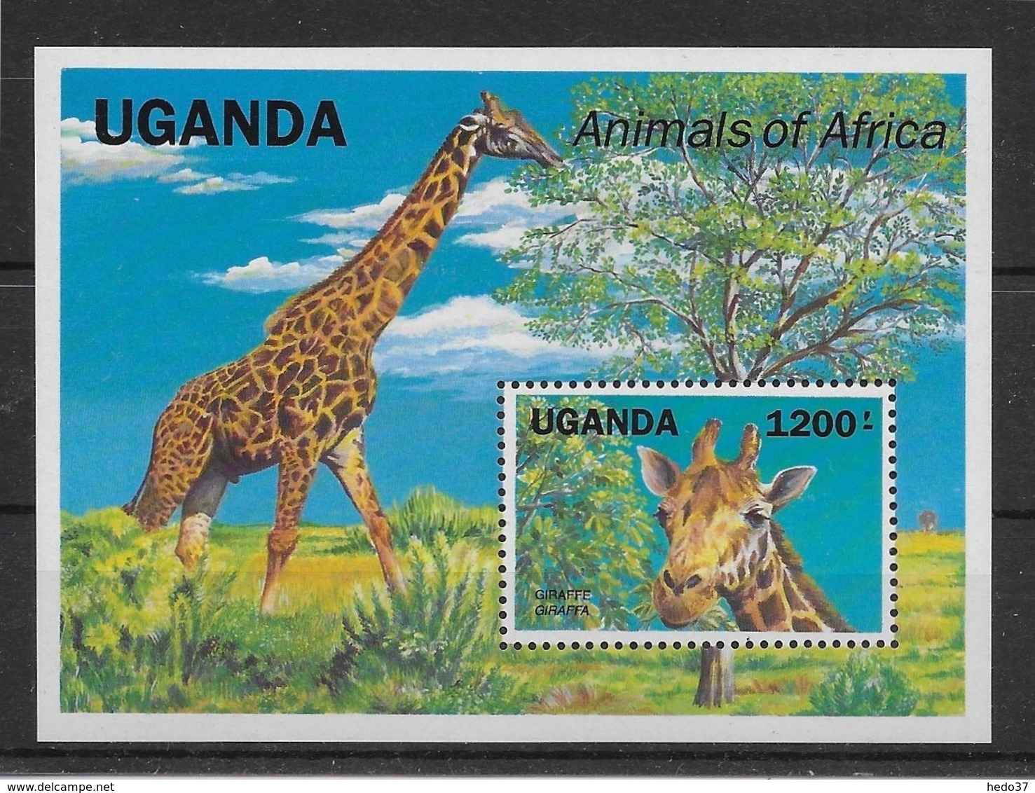 Thème Animaux - Girafes - Ouganda - Neuf ** Sans Charnière - TB - Girafes