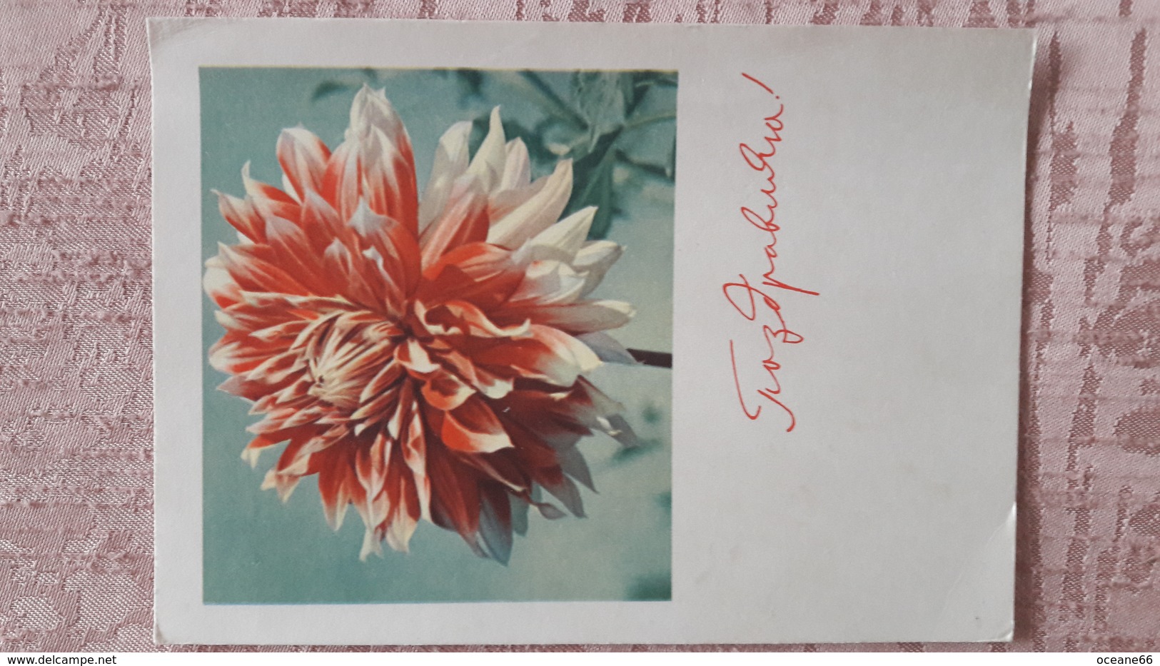 Entier Postal URSS 1961 Fleurs Dahlia - 1960-69