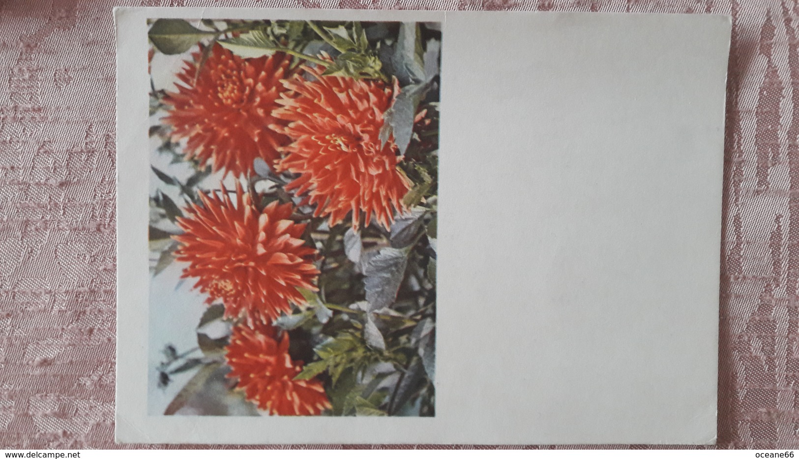 Entier Postal URSS 1961 Fleurs Dahlias - 1960-69