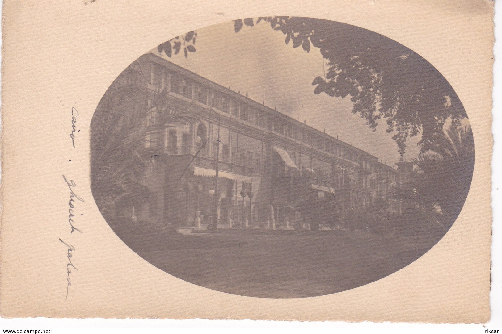 EGYPTE(LE CAIRE) CARTE PHOTO - Le Caire