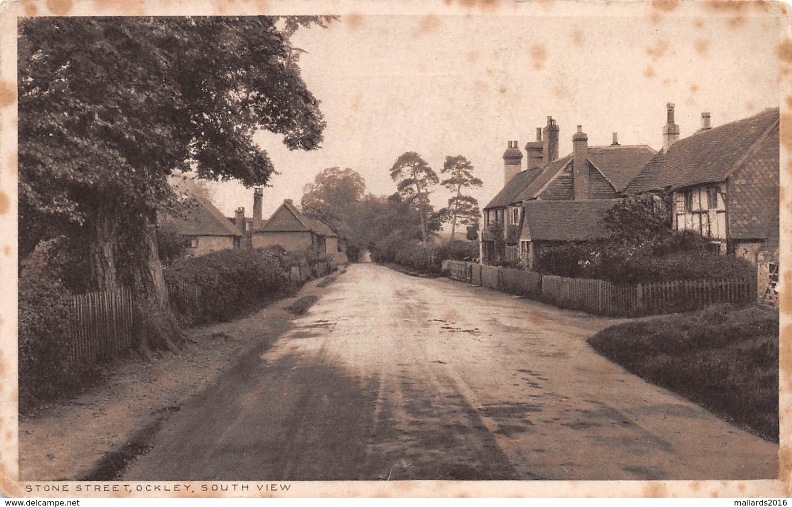 OCKLEY - STONE STREET, SOUTH VIEW ~ AN OLD POSTCARD #9K13 - Surrey