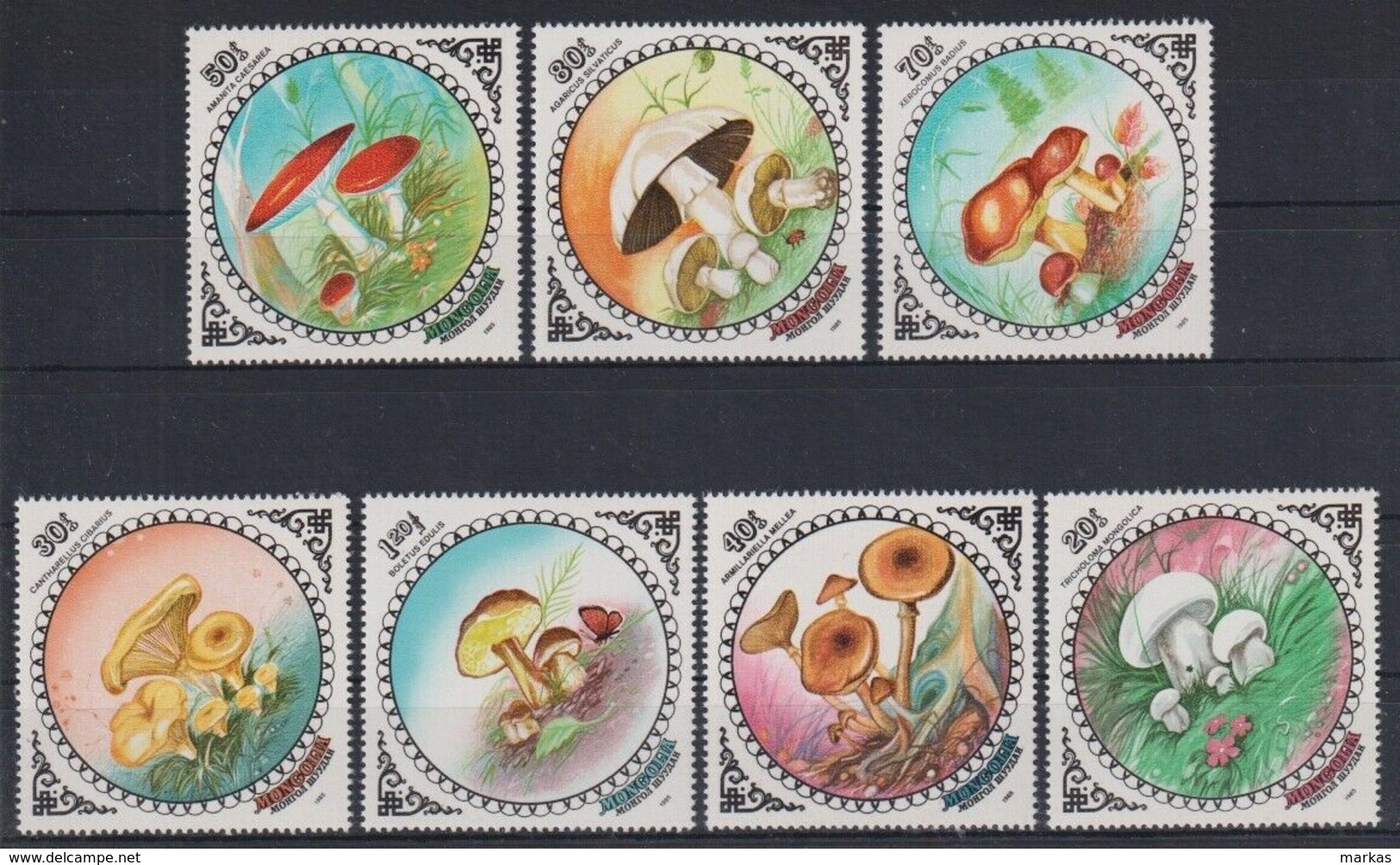 O744. Mongolia - MNH - Nature - Mushrooms - 1985 - Other & Unclassified